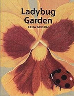 Ladybug Garden