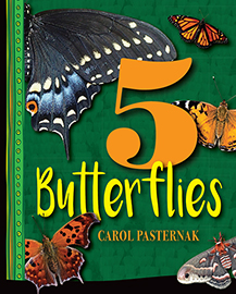 5 Butterflies