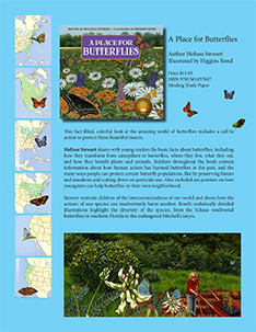 Butterflies Flyer