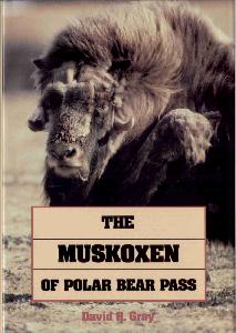 Muskoxen of Polar Bear Pass