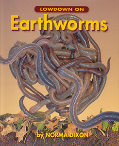 Lowdown On Earthworms