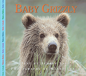 Baby Grizzly