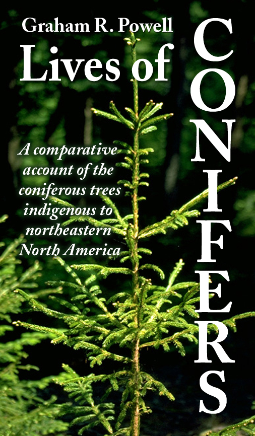 Lives of Conifers
