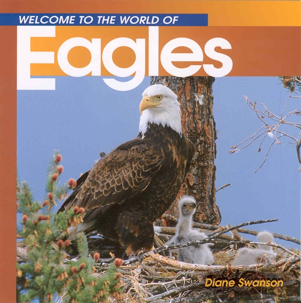 Welcome to the World of Eagles