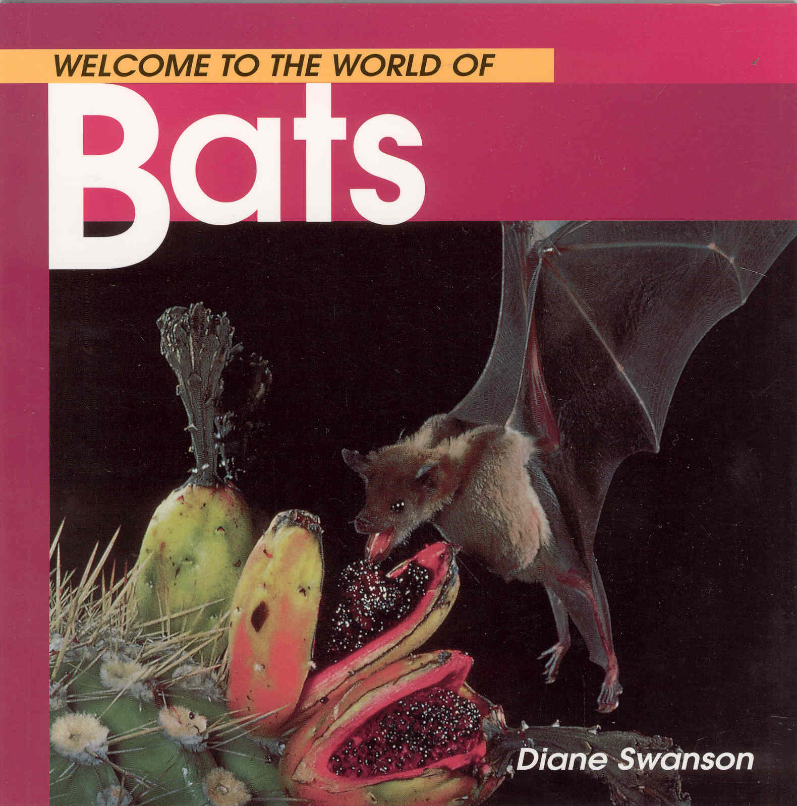 Welcome to the World of Bats