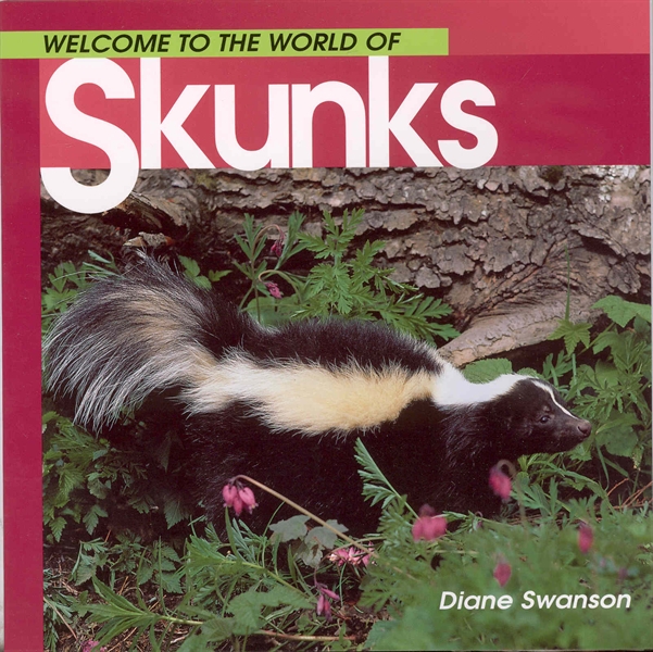 Welcome to the World of Skunks