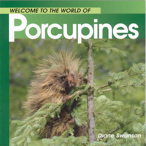 Welcome to the World of Porcupines