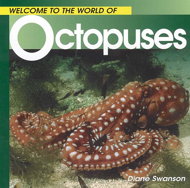 Welcome to the World of Octopuses