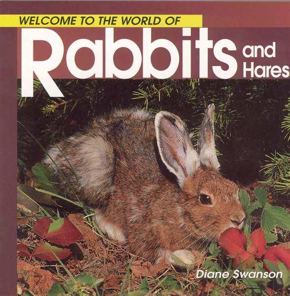 Welcome to the World of Rabbits and Hares