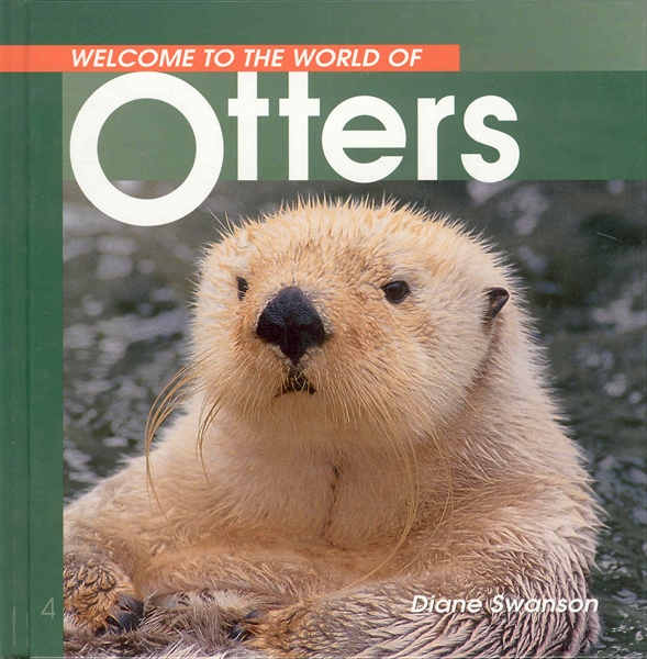 Welcome to the World of Otters