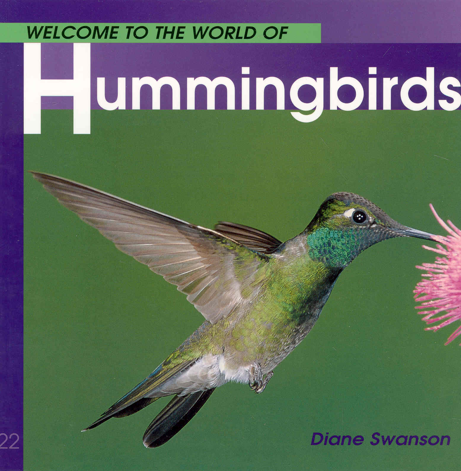 Welcome To The World Of Hummingbirds