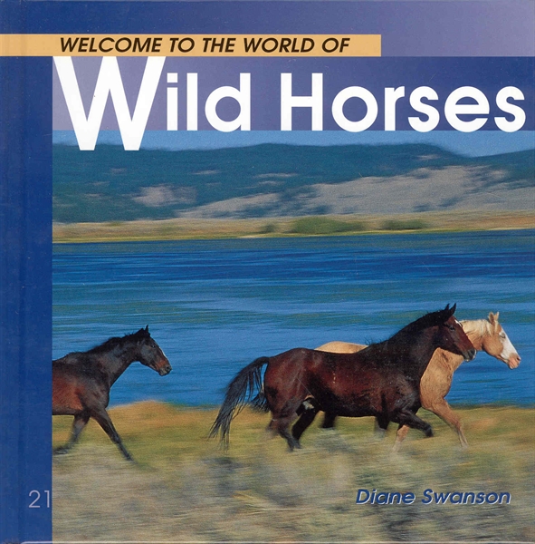 Welcome To The World Of Wild Horses