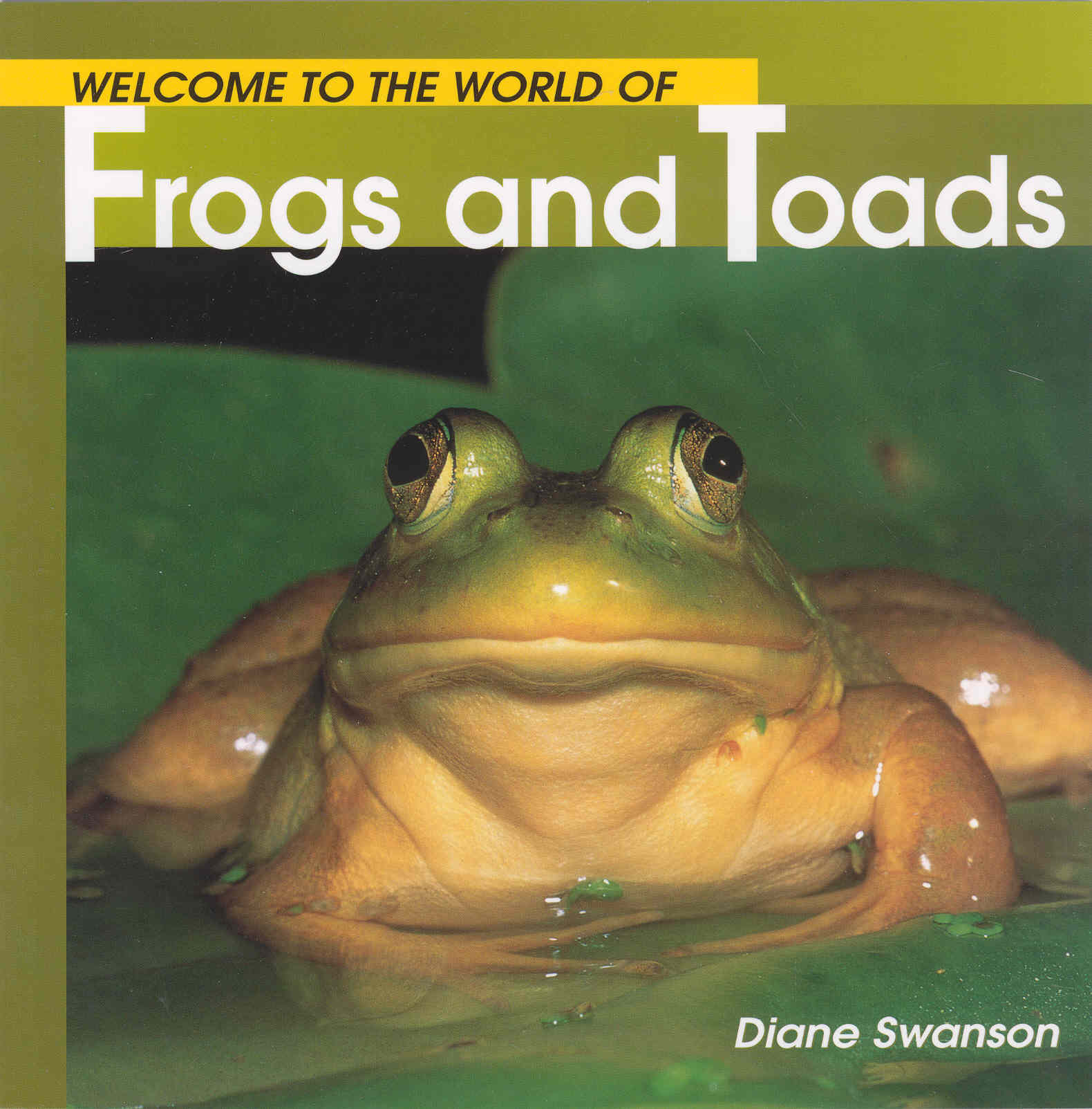 Welcome to the World of Frogs and Toads