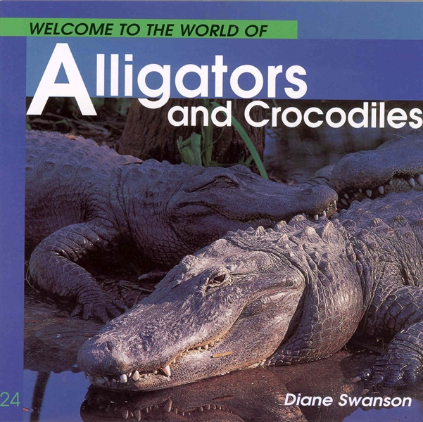 Welcome to the World of Alligators and Crocodiles