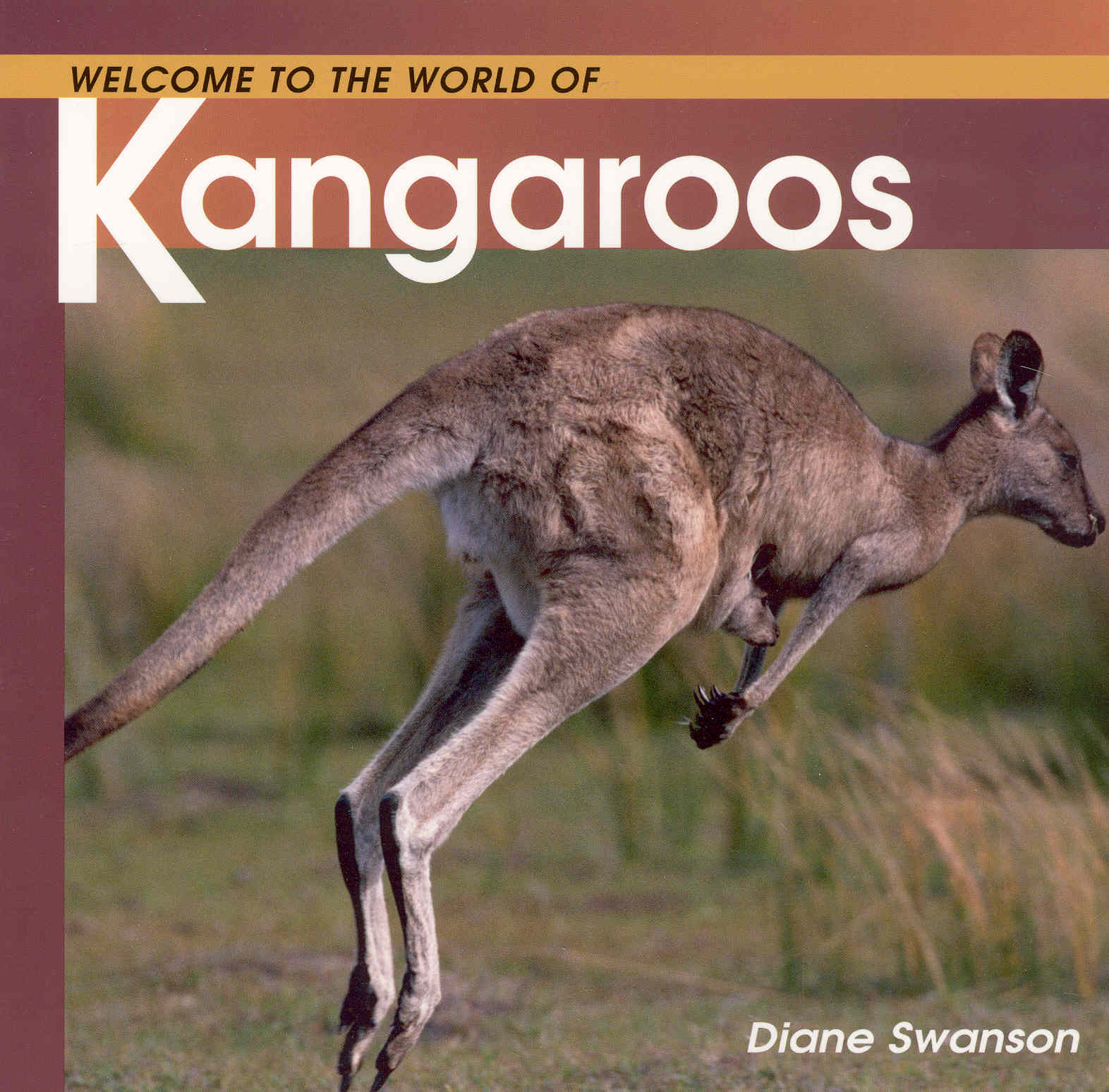 Welcome to the World of Kangaroos