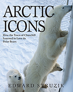 Arctic Icons