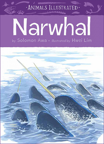 Animals Illustrated: Narwhal