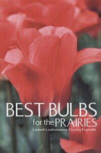 Best Bulbs for the Prairies