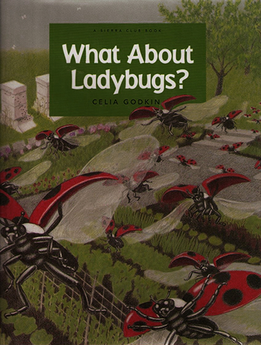 What About Ladybugs?