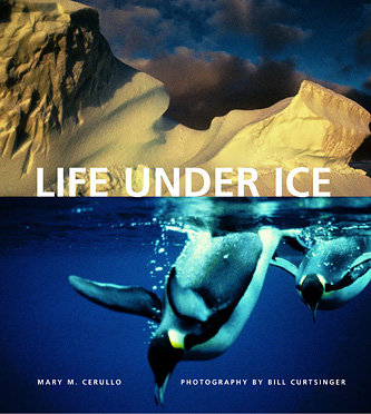 Life Under Ice