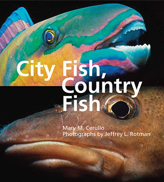 City Fish, Country Fish