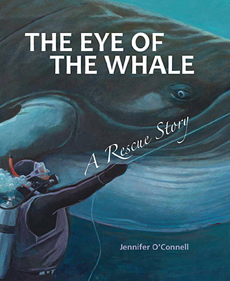 Eye of the Whale