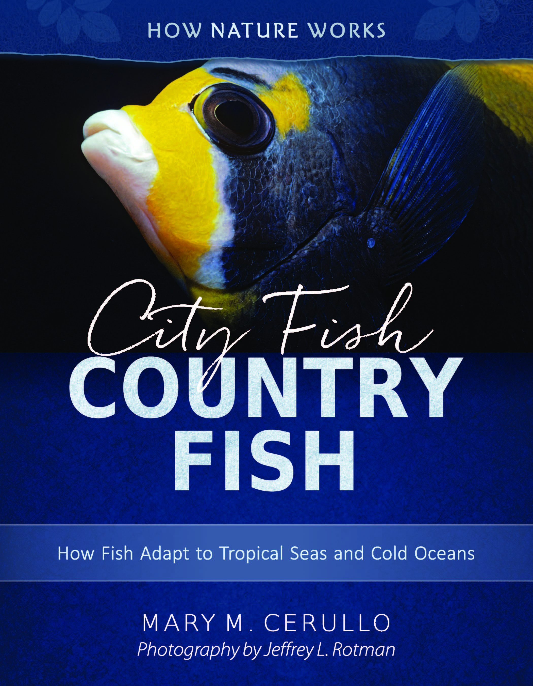 City Fish, Country Fish