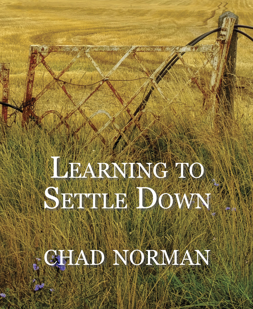 Learning to Settle Down