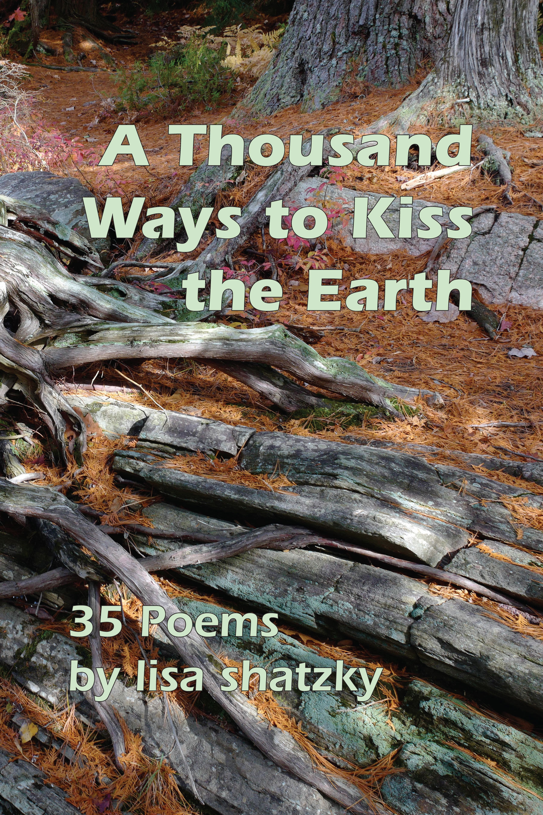 Thousand Ways to Kiss the Earth