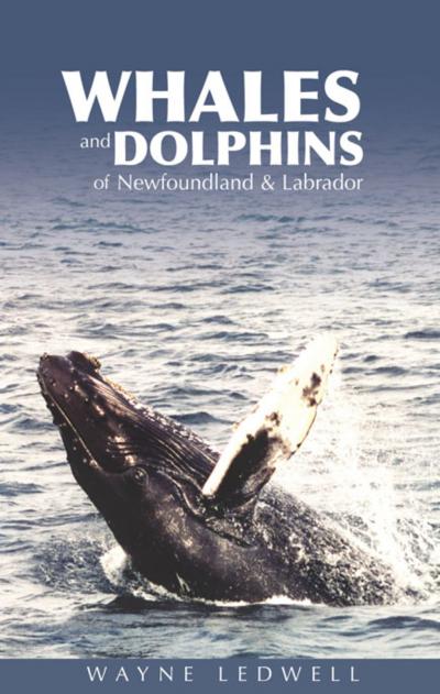 Whales and Dolphins of Newfoundland and Labrador