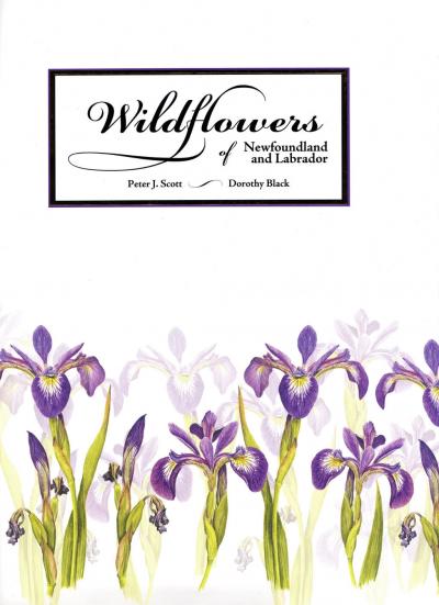 Wildflowers of Newfoundland and Labrador