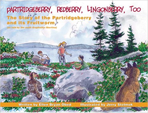 Partridgeberry, Redberry, Lingonberry, Too