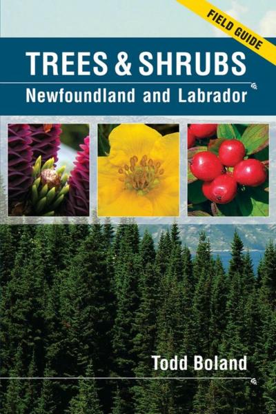 Trees and Shrubs of Newfoundland and Labrador