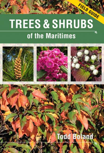 Trees and Shrubs of the Maritimes