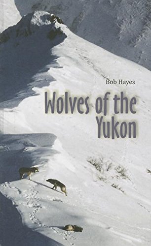 Wolves of the Yukon