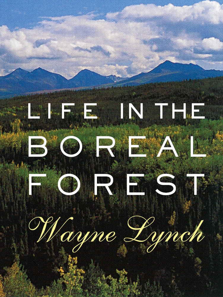 Life in the Boreal Forest