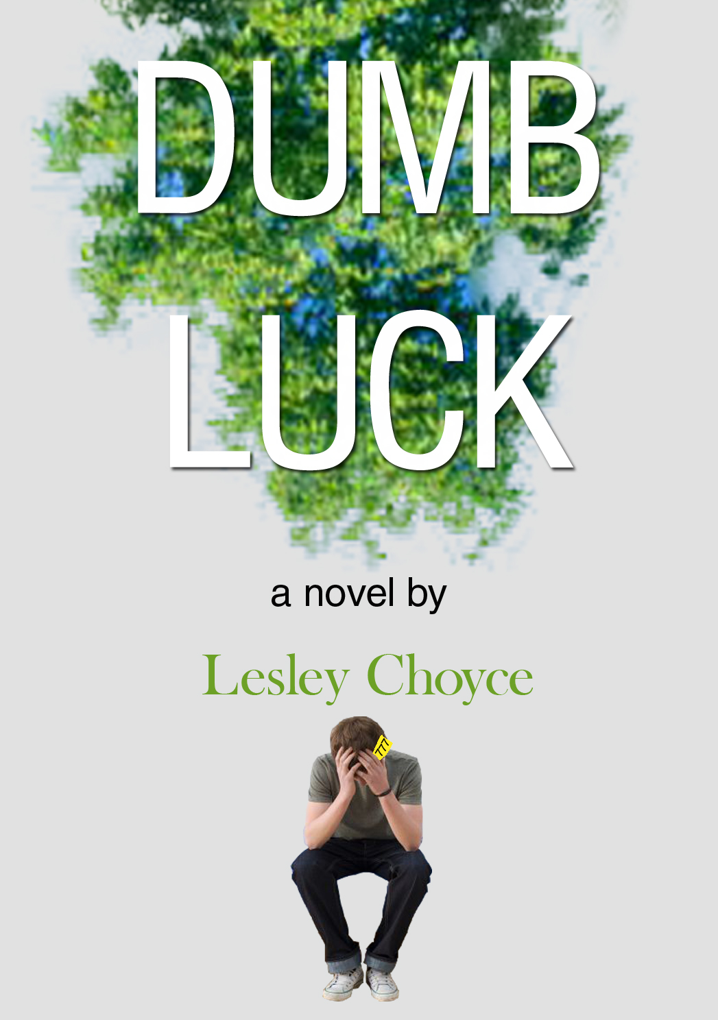 Dumb Luck  EPUB