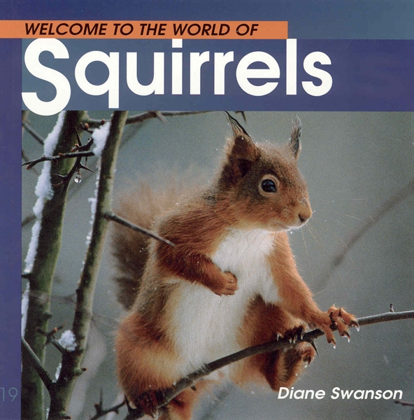 Welcome To The World Of Squirrels