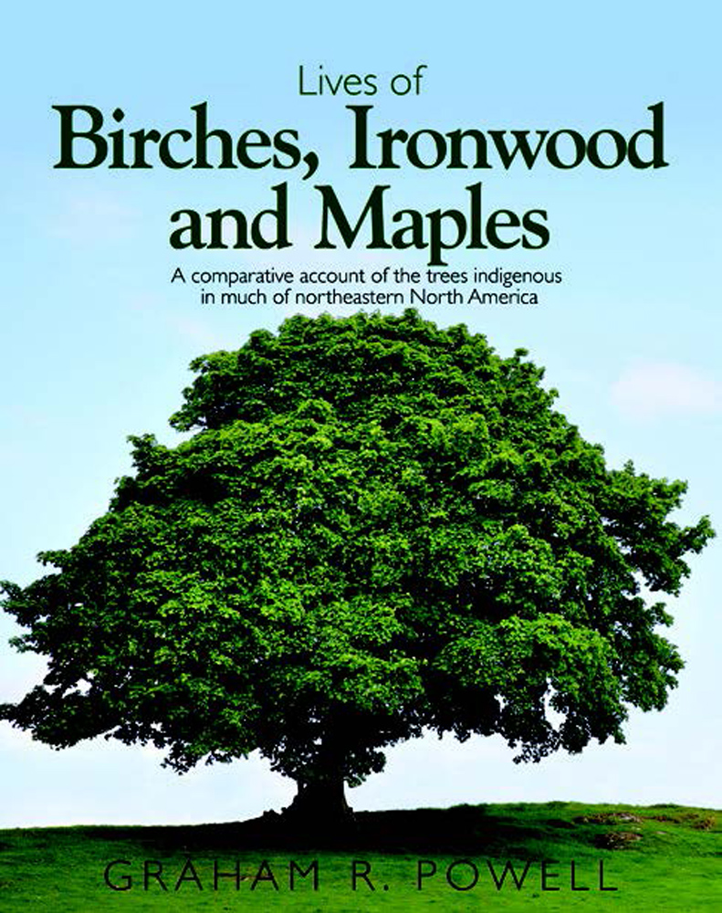 Lives of Birches, Ironwood and Maples