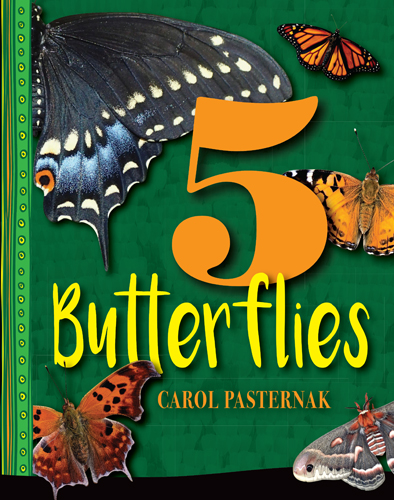 5 Butterflies