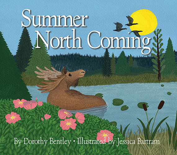 Summer North Coming