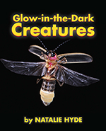 Glow-in-the-Dark-Creatures