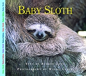 Baby Sloth