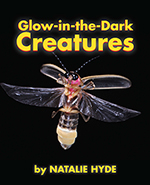 Glow-in-the-Dark Creatures