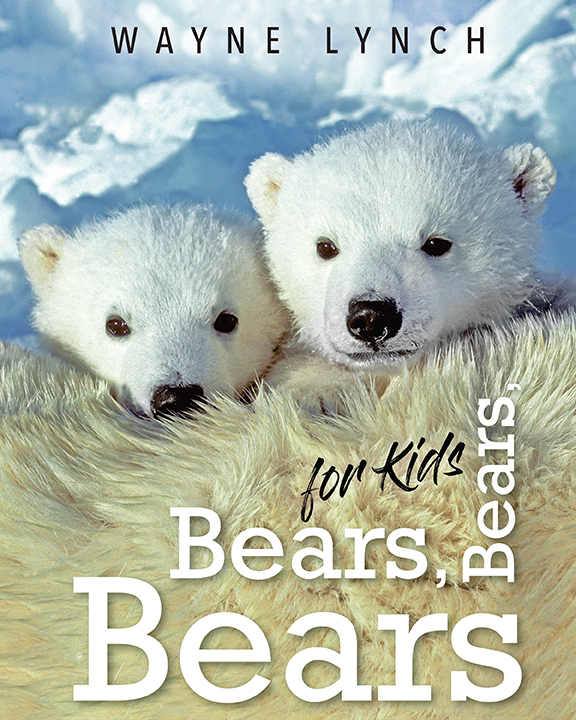 Bears Bears Bears for Kids