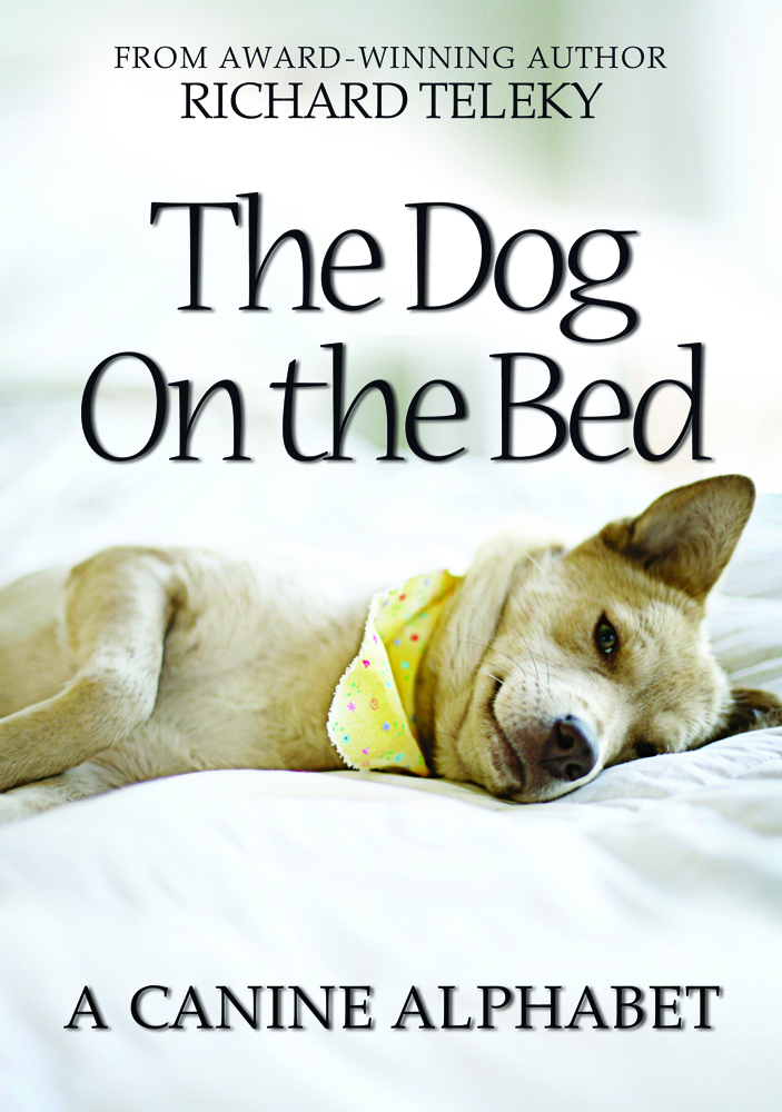Dog On The Bed