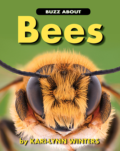 Buzz About Bees