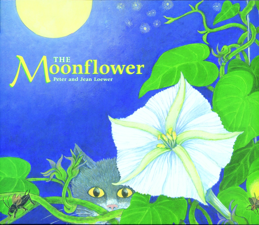 Moonflower