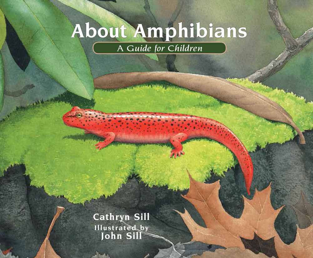 About Amphibians