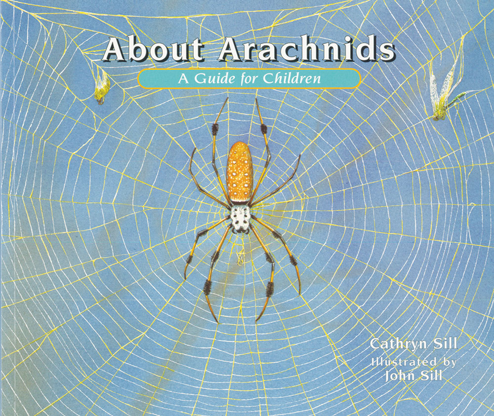 About Arachnids